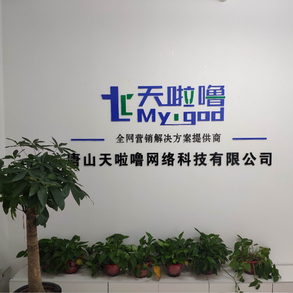 唐山市高新技术产业开发区百事通信息咨询服务处与北京信息技术咨询服务的协同发展